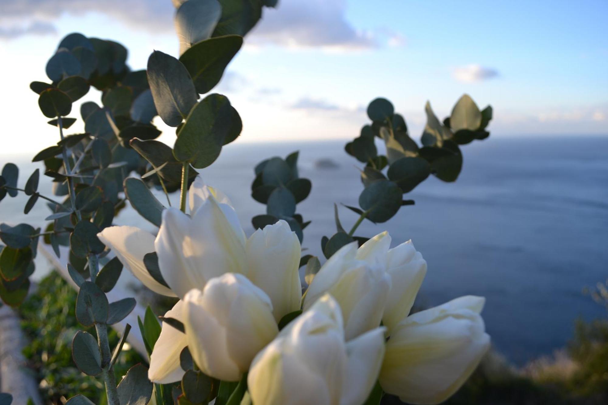 Willa Casa La Bifora Positano Zewnętrze zdjęcie